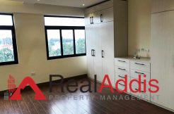 , Apartment For Rent – Wollo Sefer Area